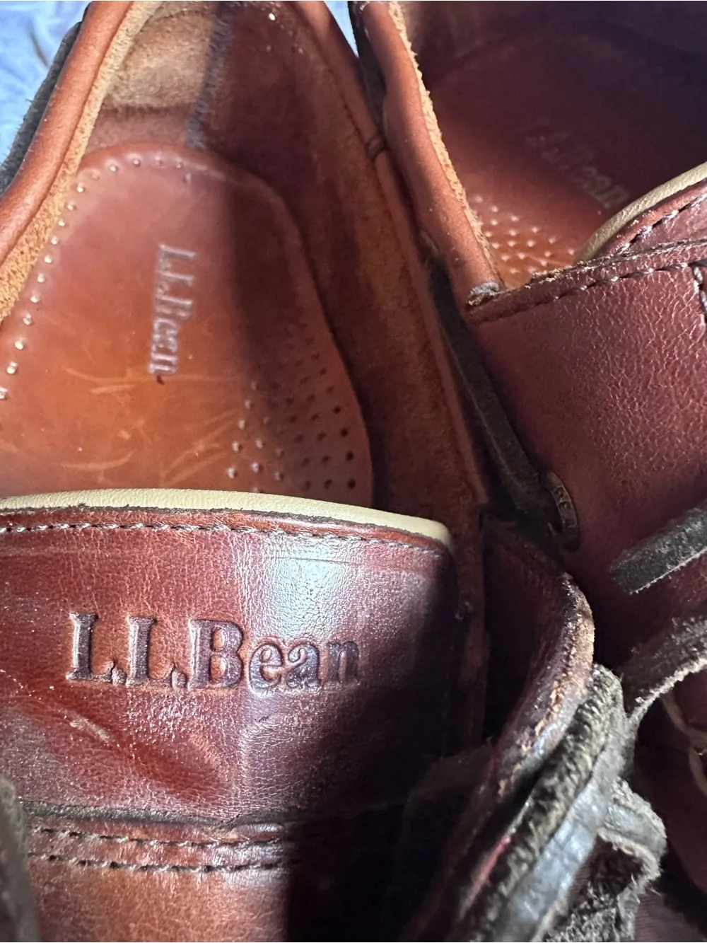 L.L. Bean classic men